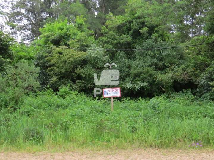 Terreno en venta en El Alcalde de Salamea, Maldonado