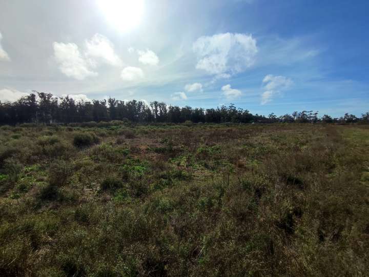 Terreno en venta en El Tesoro