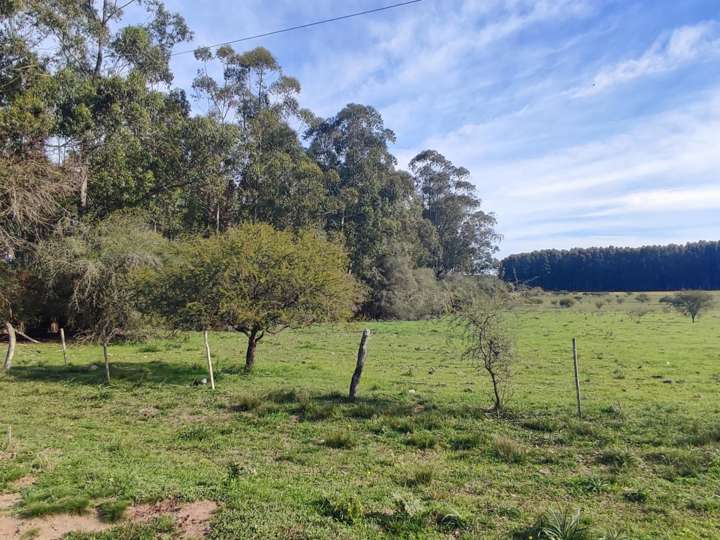 Terreno en venta en Departamento Colón, San José