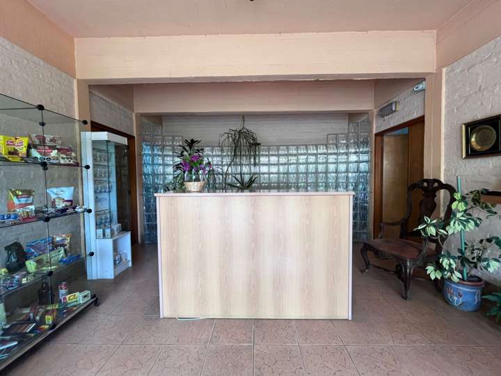 Comercial / Tienda en venta en Alberto Zum Felde, Montevideo