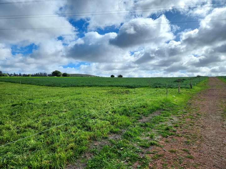 Granja en venta en Camino de las Lechuzas, Maldonado