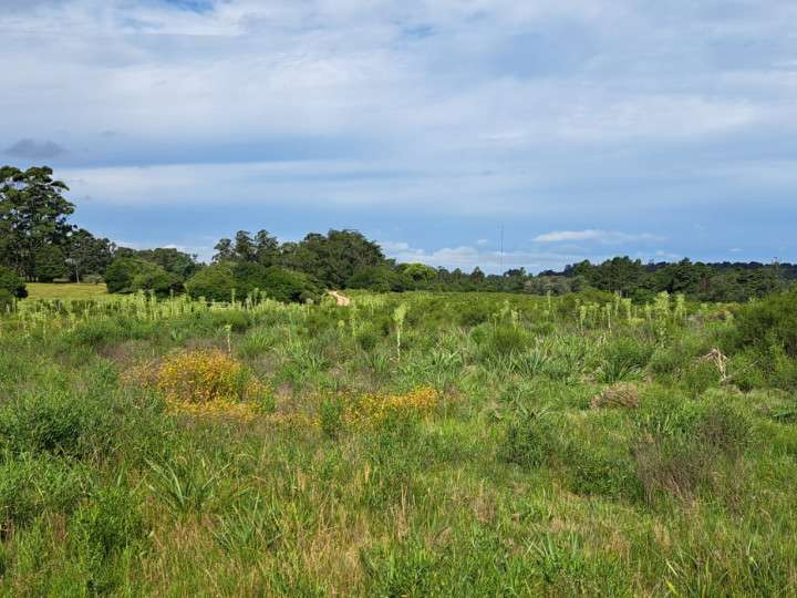 Granja en venta en Tercera Vecinal a Ruta 29, Maldonado