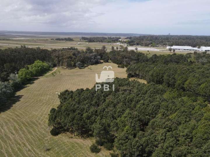 Terreno en venta en Avenida General Aparicio Saravia, Punta Del Este