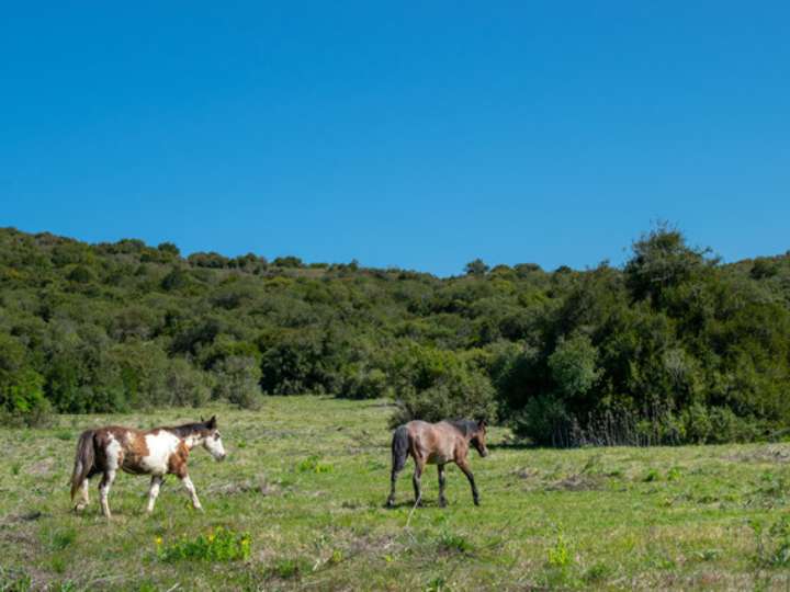 Granja en venta en Lavalleja