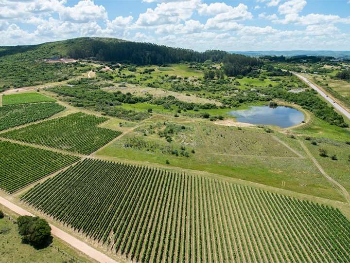 Granja en venta en Maldonado