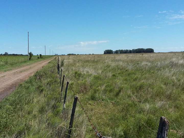 Terreno en venta en Partido de Punta Indio, Buenos Aires
