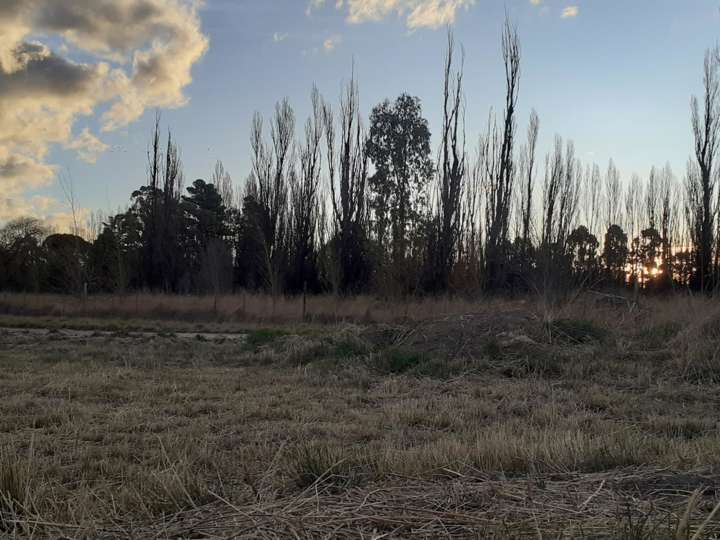 Terreno en venta en Ruta Provincial 7, Chubut