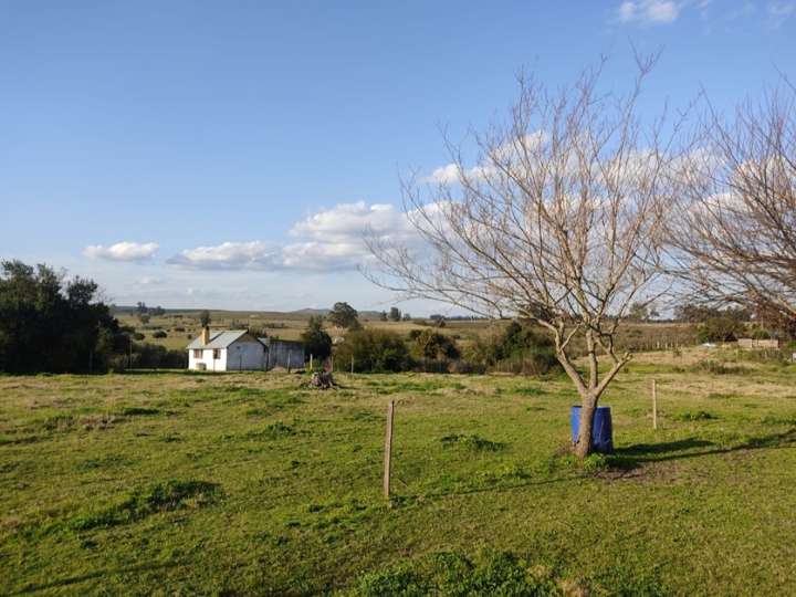 Terreno en venta en Rambla General Artigas, Punta Del Este