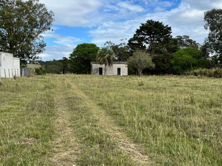 Granja en venta en Rambla General Artigas, Punta Del Este