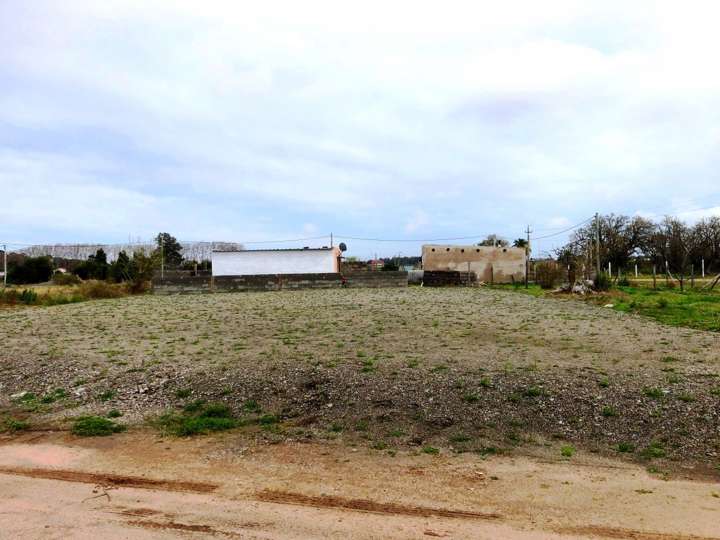 Terreno en venta en Los Pinos, Colonia