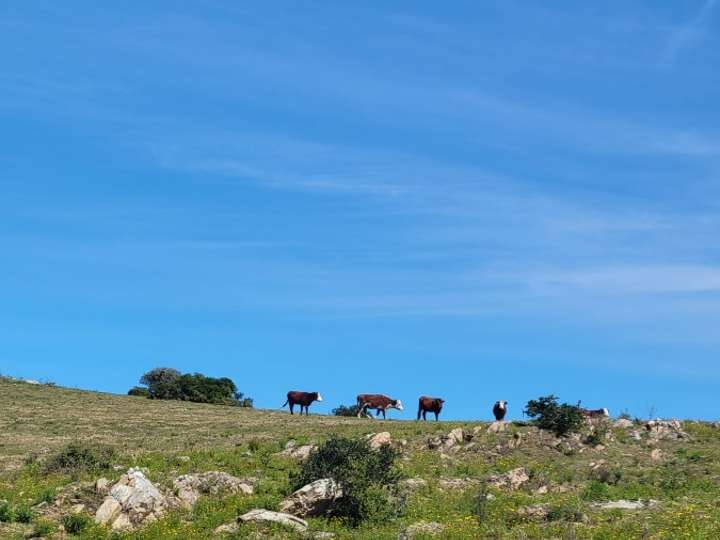 Granja en venta en Maldonado