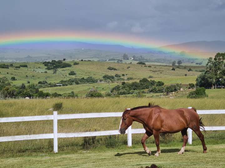 Granja en venta en Maldonado
