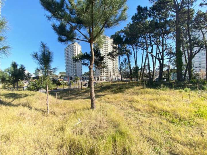 Terreno en venta en Avenida Franklin Delano Roosevelt, Punta Del Este