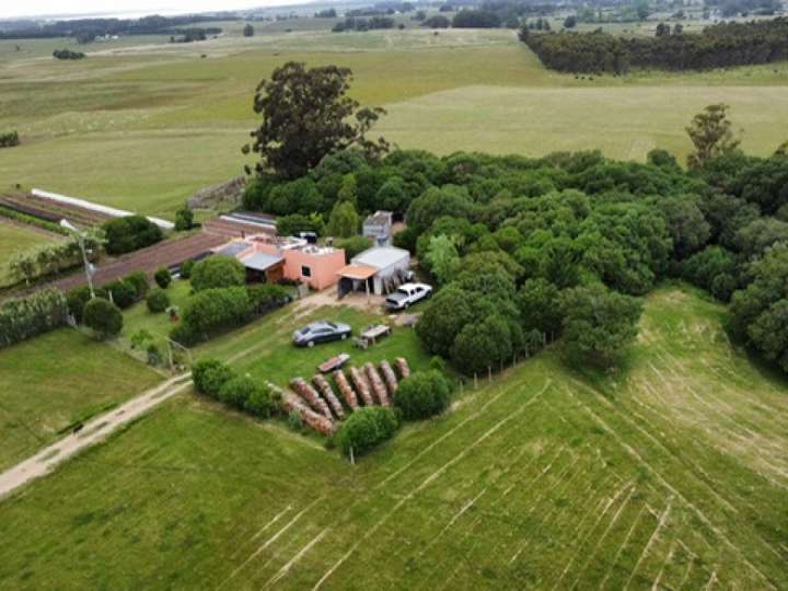 Granja en venta en Vecinal Evaristo Diaz, Maldonado