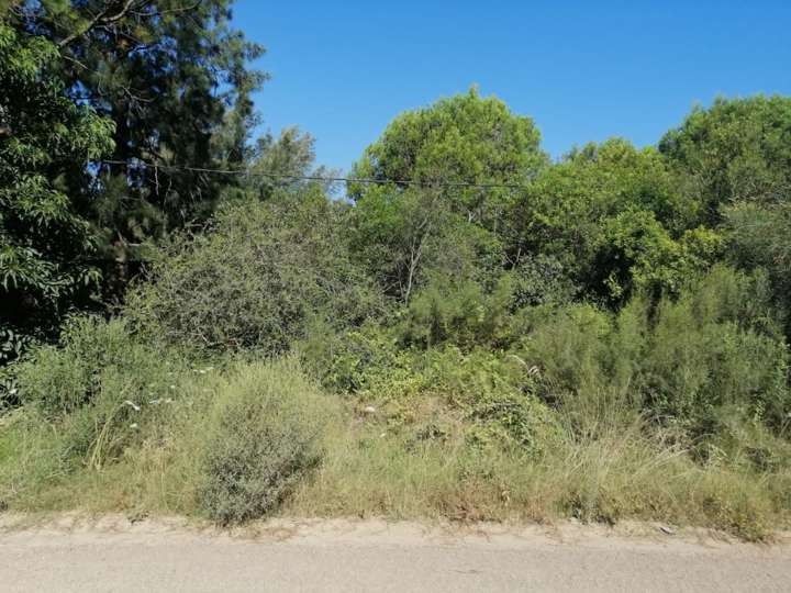Terreno en venta en Maldonado