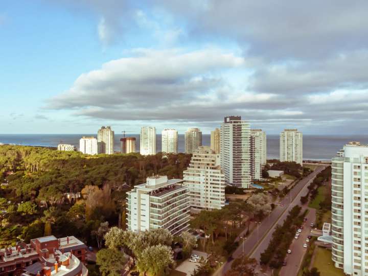 Apartamento en venta en Avenida Franklin Delano Roosevelt, Punta Del Este