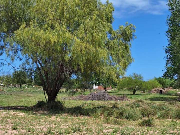 Terreno en venta en Departamento Victoria, Victoria