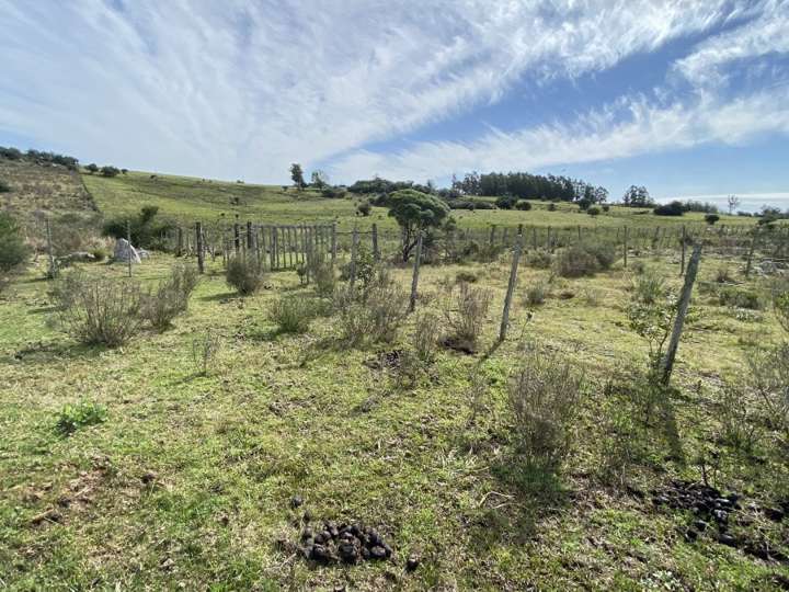 Granja en venta en Maldonado