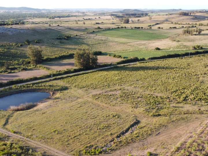 Granja en venta en Rambla General Artigas, Punta Del Este