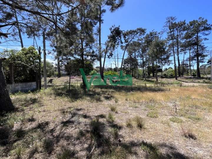 Terreno en venta en Rambla General Artigas, Punta Del Este