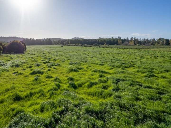 Granja en venta en Maldonado