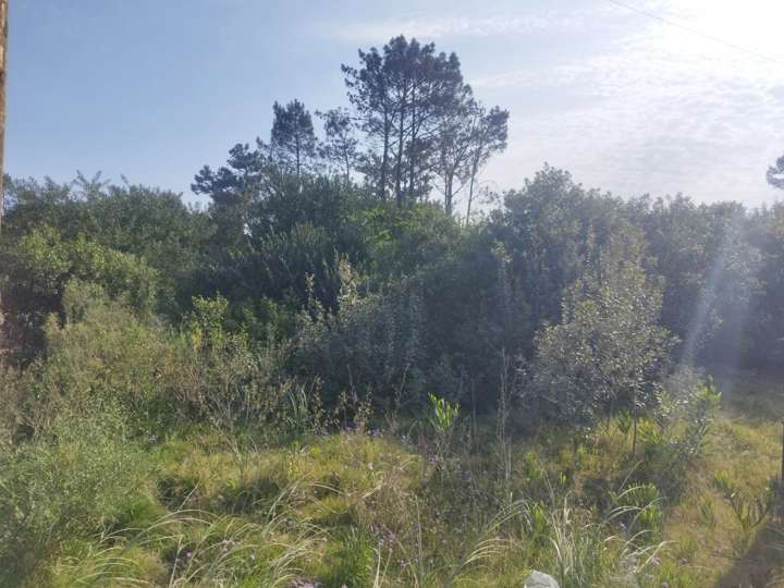 Terreno en venta en Maldonado