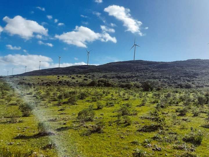 Granja en venta en Maldonado