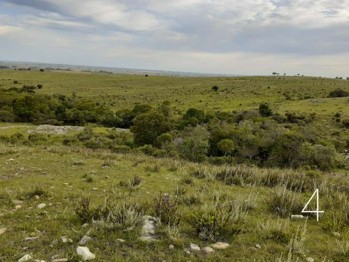 Granja en venta en Maldonado