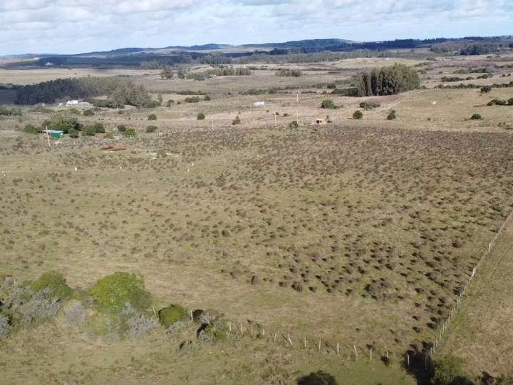 Granja en venta en Rambla General Artigas, Punta Del Este