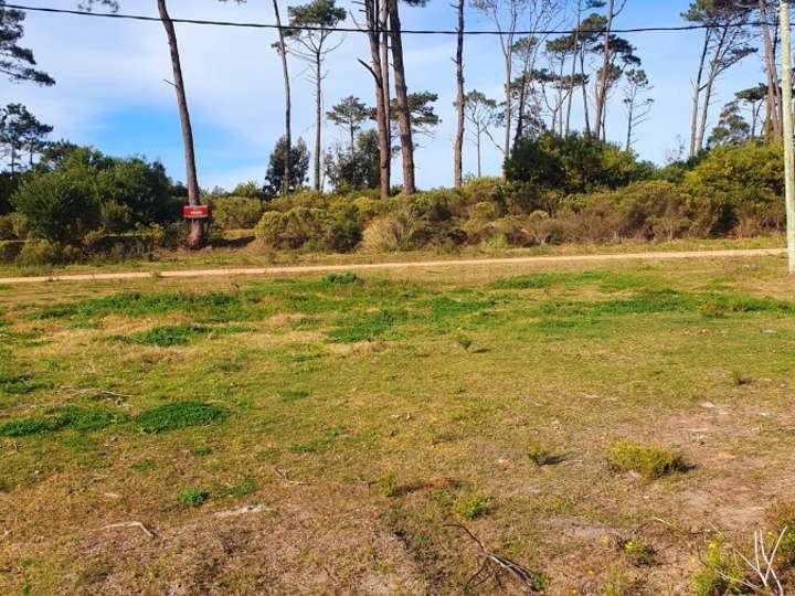 Terreno en venta en Avenida Louis Pasteur, Punta Del Este