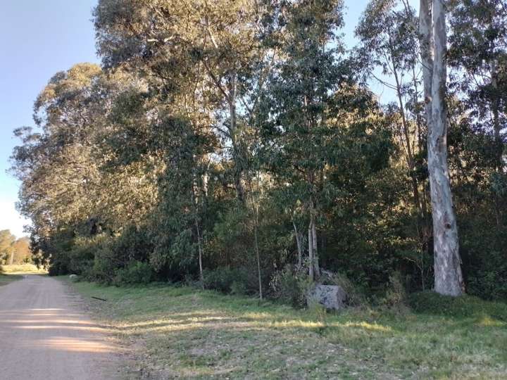 Terreno en venta en Avenida C. Herrera, Maldonado