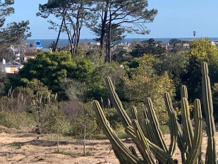 Terreno en venta en Rambla General Artigas, Punta Del Este