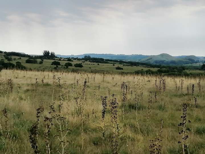 Granja en venta en Maldonado