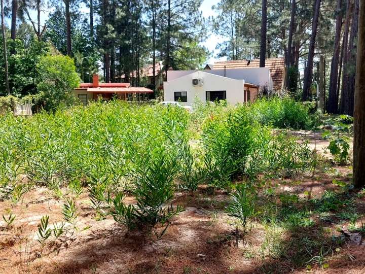 Terreno en venta en La Capuera