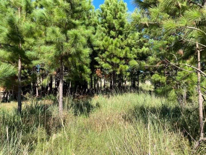 Terreno en venta en Rocha