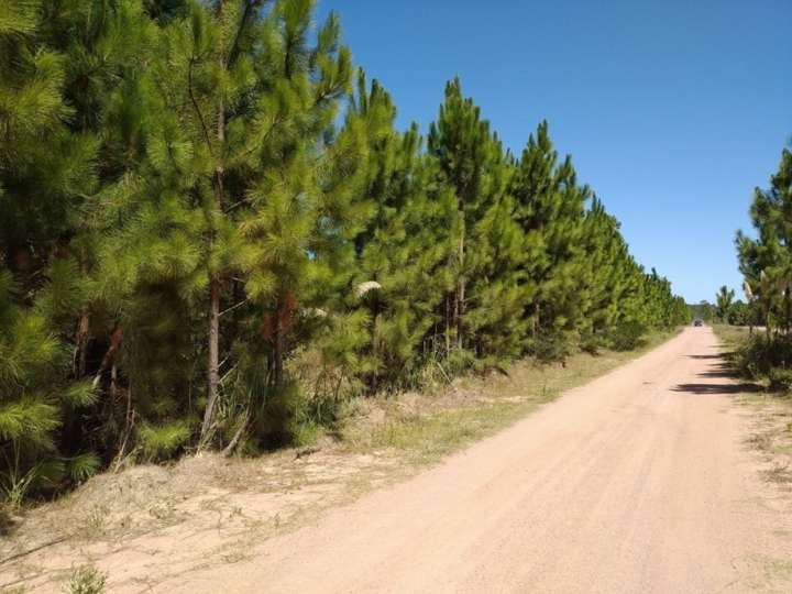 Terreno en venta en Rocha