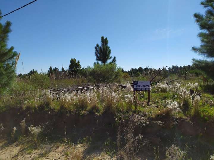 Terreno en venta en Rocha