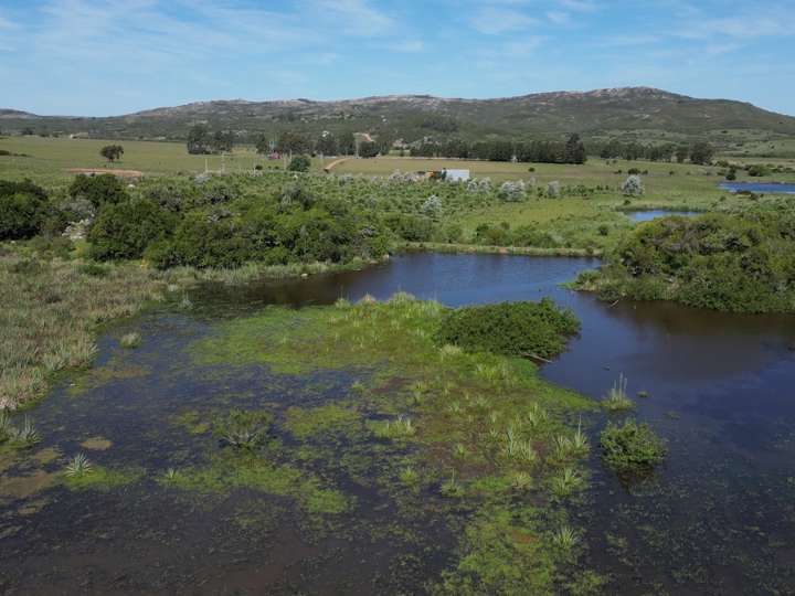 Granja en venta en Vecinal 1, Maldonado