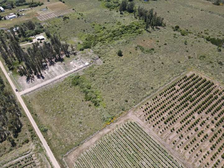 Granja en venta en Ruta 33, Canelones