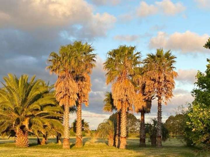 Granja en venta en Maldonado