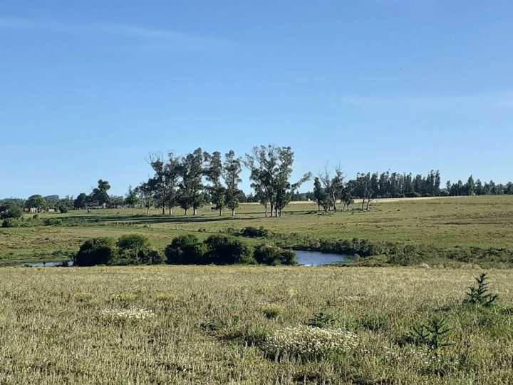 Granja en venta en Maldonado