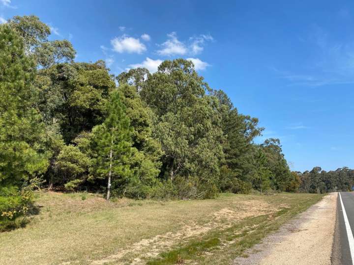 Granja en venta en Maldonado