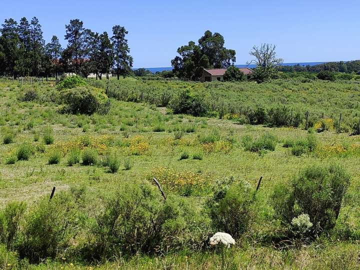 Terreno en venta en Maldonado