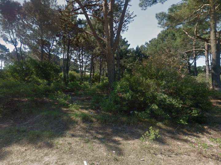 Terreno en venta en Maldonado