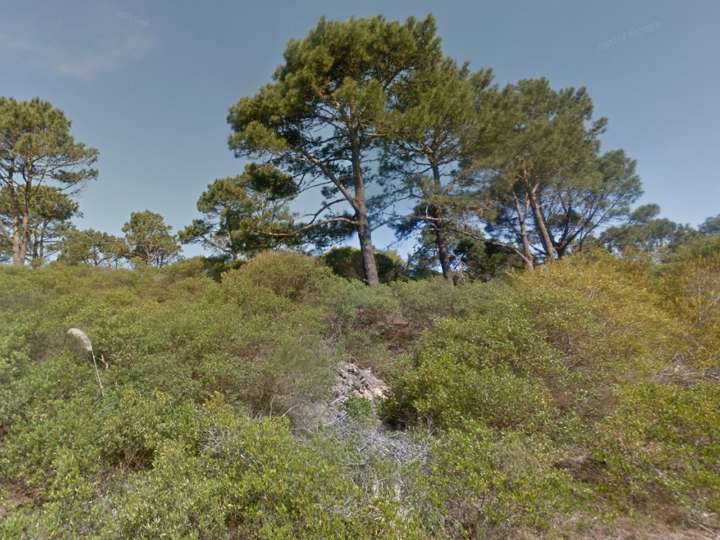 Terreno en venta en Maldonado