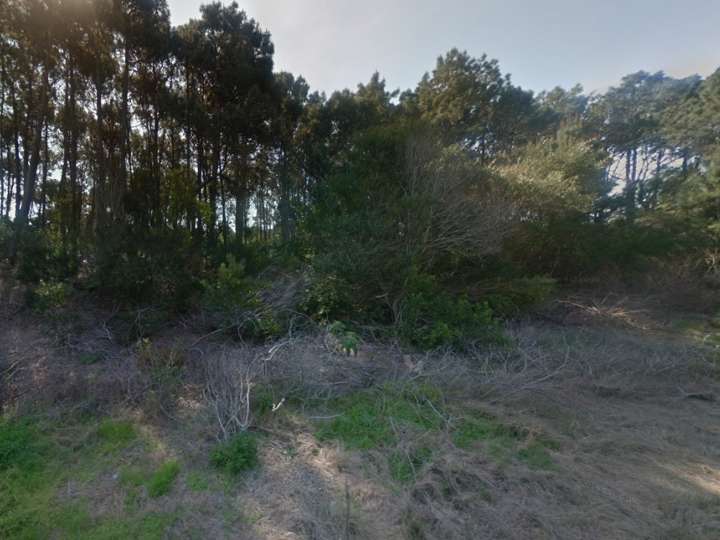 Terreno en venta en Maldonado