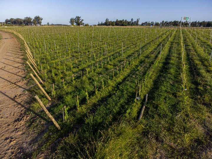 Granja en venta en Maldonado