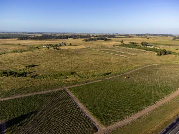 Granja en venta en Los Teros, Maldonado