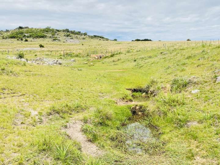 Granja en venta en Maldonado