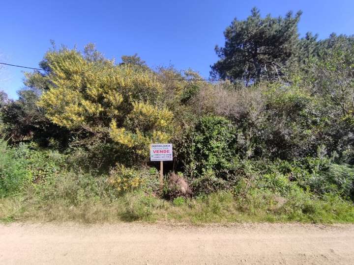Terreno en venta en Ostende, Maldonado
